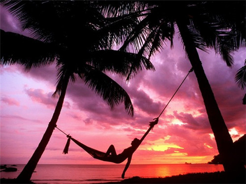 石爱卿麦香石爆汁饭