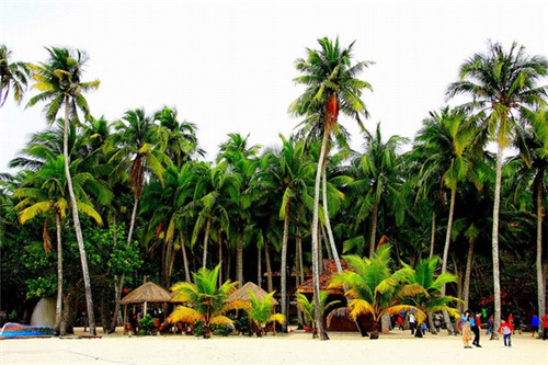 维也纳酒店长沙几个店，长沙维也纳酒店加盟费多少