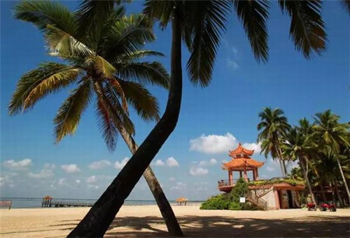 汕头奶茶店哪里有招聘