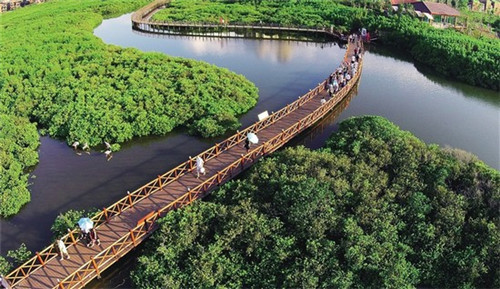 梓潼美食凉粉加盟费多少，