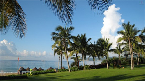 大安市加盟麦圣麦奶茶一月可以挣多少钱