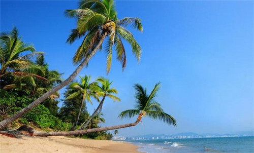 为什么房子装修完了想拆（为什么房子装修后还会觉得大多了）