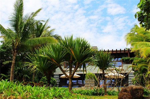 吉水的房价是升了还是降了（吉水县房价降了吗）